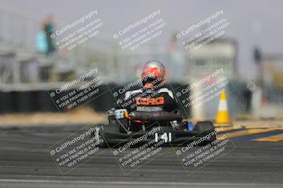 media/Mar-29-2025-Pro Autosports (Sat) [[89b1c017ad]]/6-Purple Group/Qualifying Session/